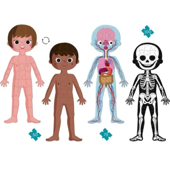 Janod 4 in 1 Puzzle Human Body Age 5+ Skeleton Glow In The Dark, Organs - Picture 11 of 15